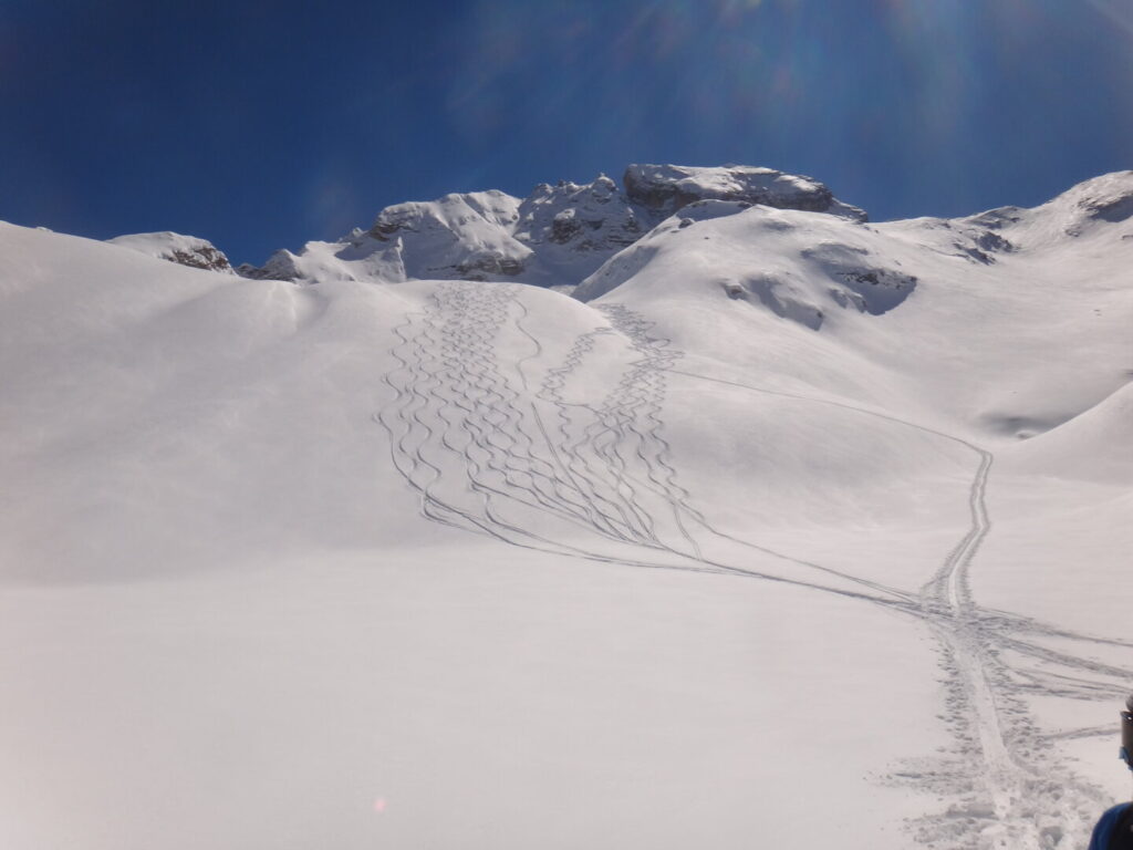 Neve fresca Cadore Dolomiti