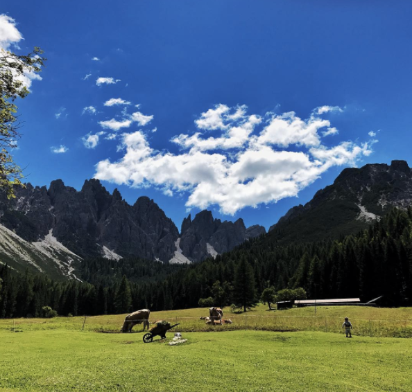 Cadore Dolomiti