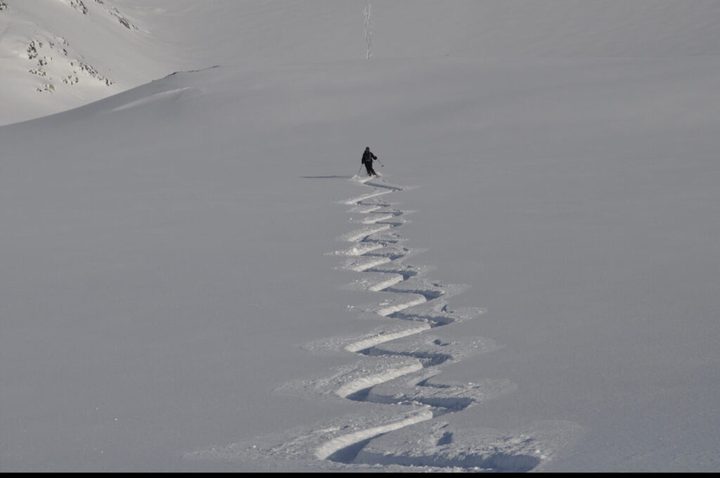 Freeride Cadore Dolomiti